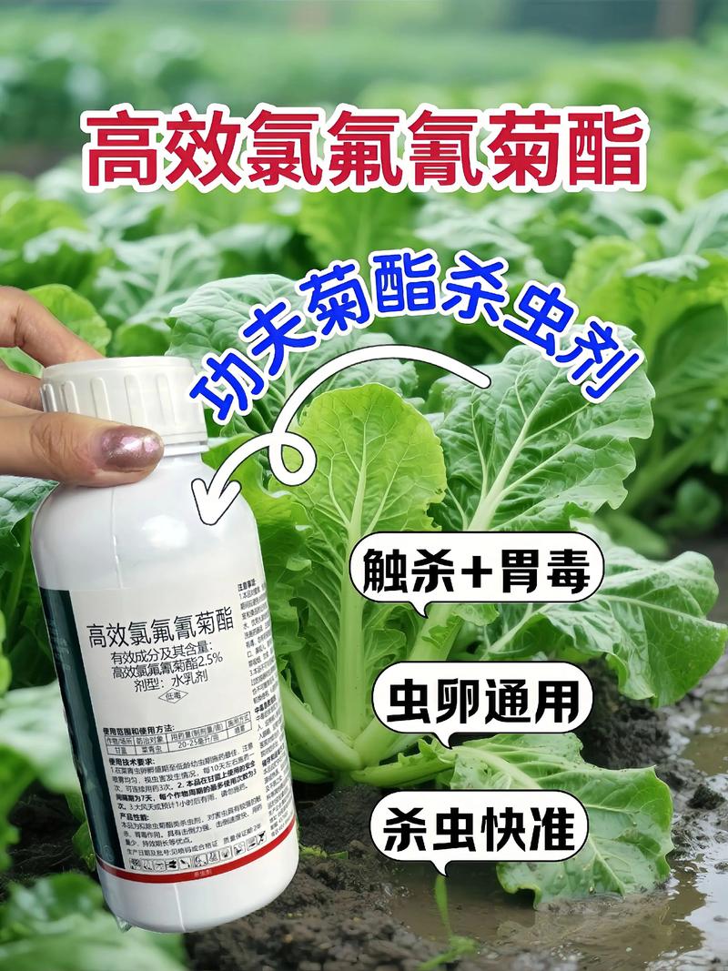 云阳代生中心:农药对供卵代生妈妈的危害